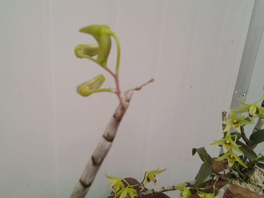 2013-06-01 12.13.12_.jpg