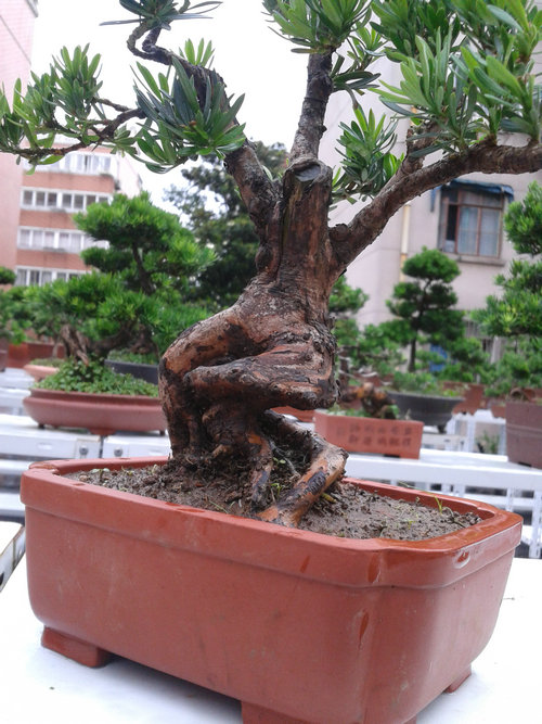 2013-06-25 13.14.55.jpg