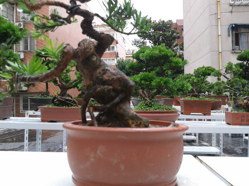 2013-06-25 13.14.24.jpg