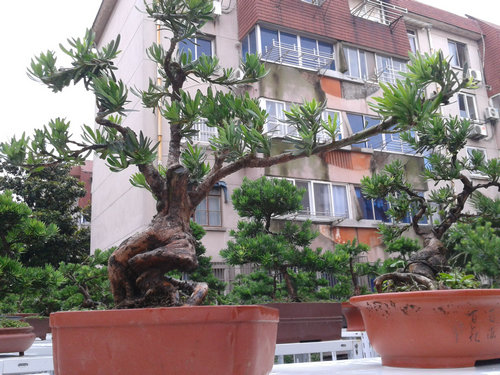 2013-06-25 13.15.46.jpg