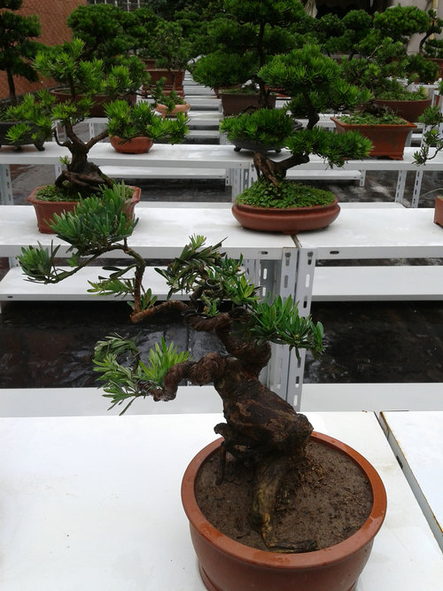 2013-06-25 13.13.51.jpg