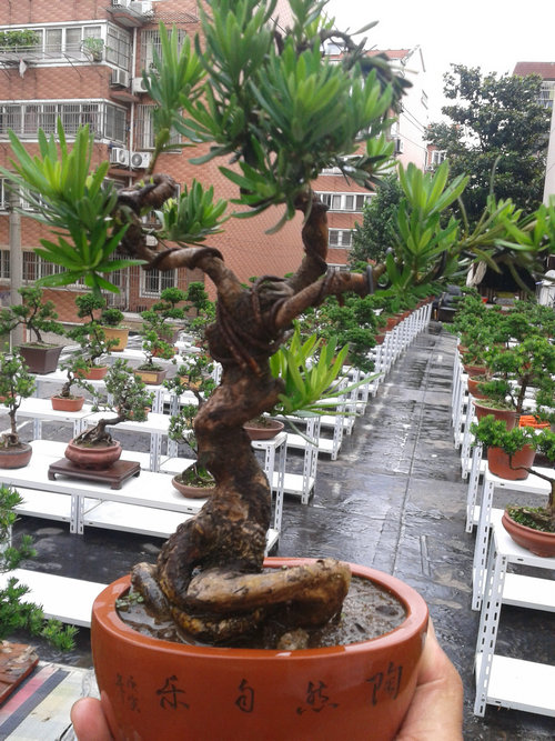 2013-06-27 15.10.48.jpg