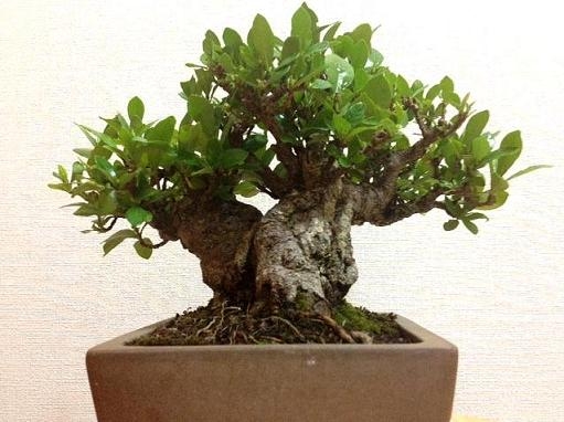 20120812122611.jpg