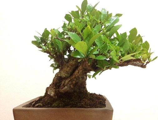 20120812122701.jpg