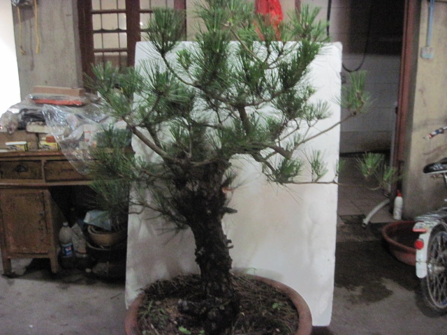 13-06-27 002.jpg