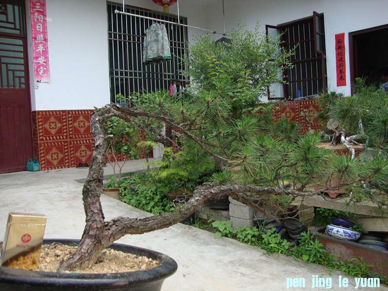 DSC01205_.jpg