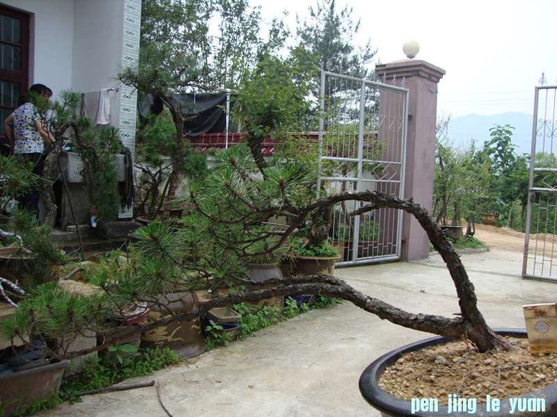DSC01206_.jpg