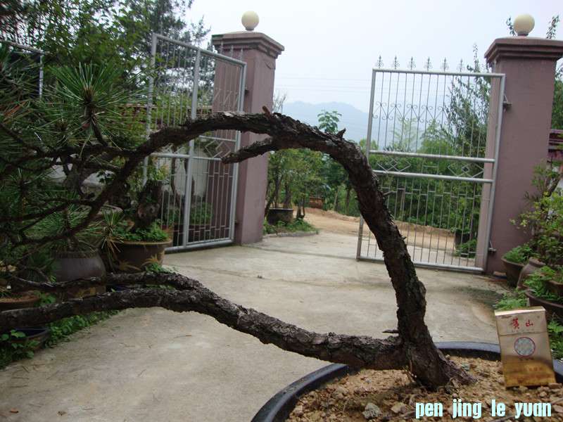 DSC01207_.jpg