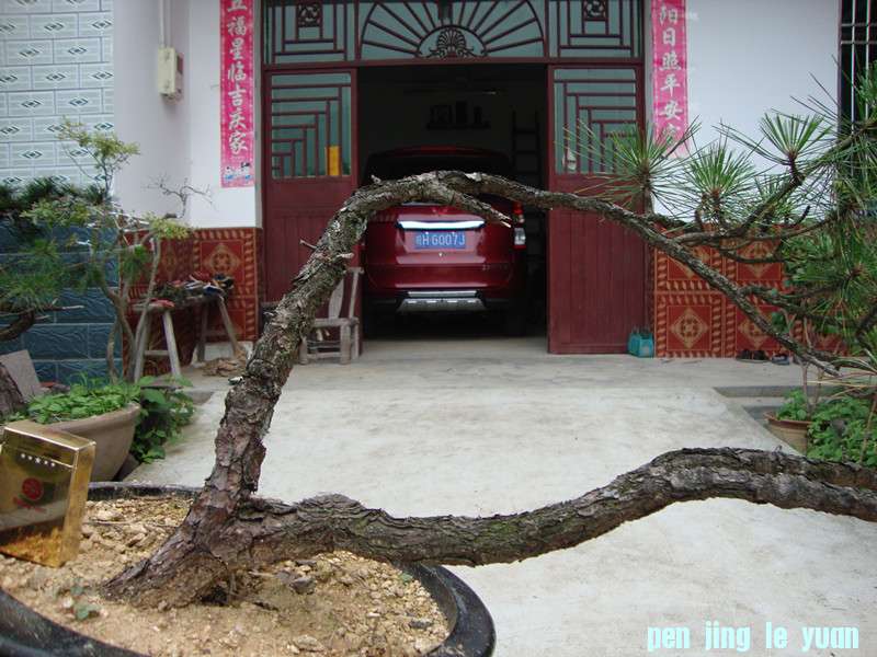 DSC01208_.jpg