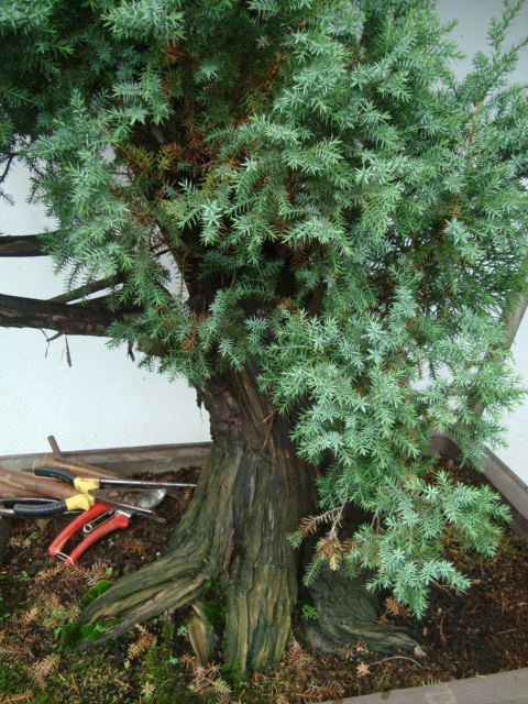 DSC07458_ͼ.jpg