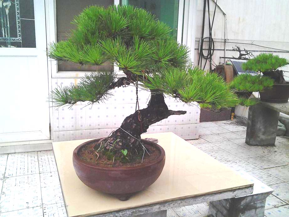 Ƭ0108.jpg