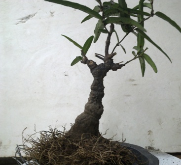 20130629530.jpg