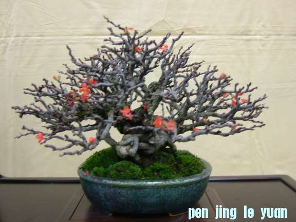 08meihinntenn 009.jpg