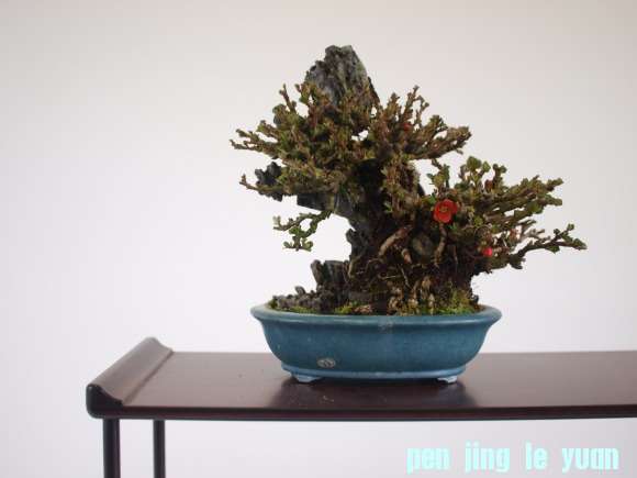 134d04.jpg