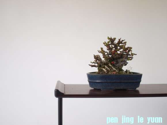 170d02.jpg