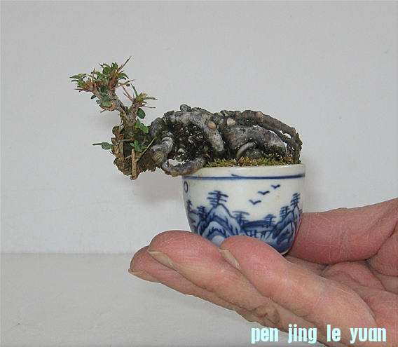 image10156.jpg