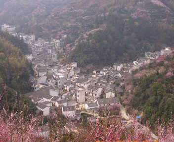 羰4.jpg