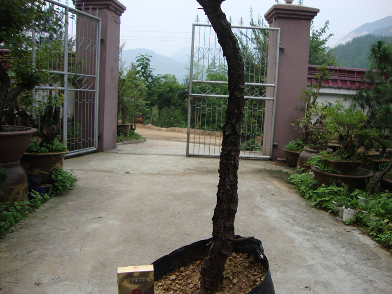 DSC01220_.jpg