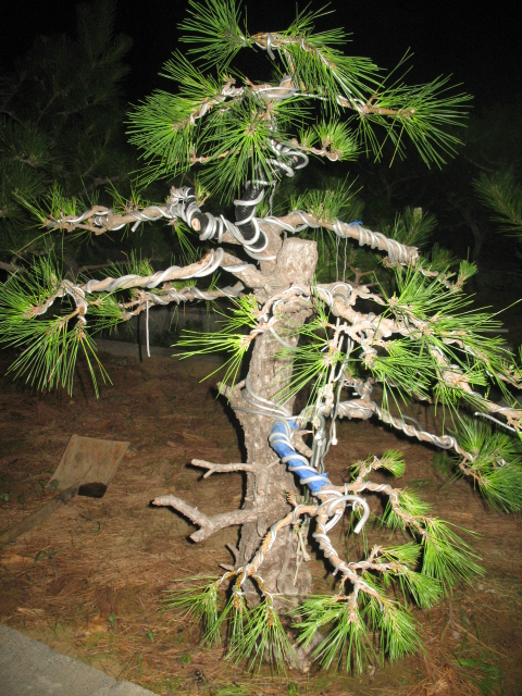IMG_6854.jpg