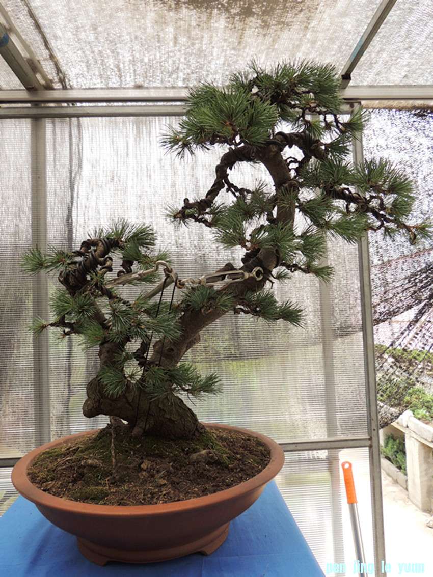 DSCN1119_ת_.jpg