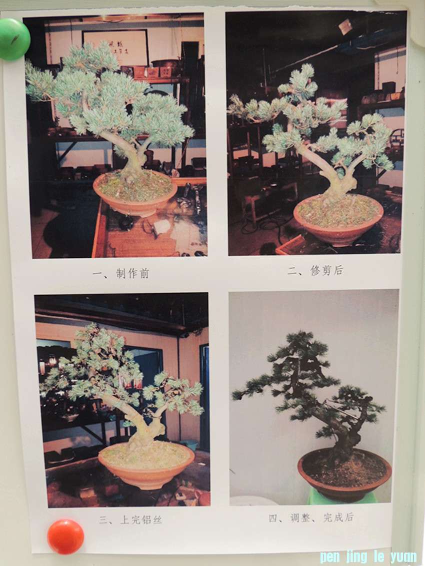 DSCN1121_ת_.jpg