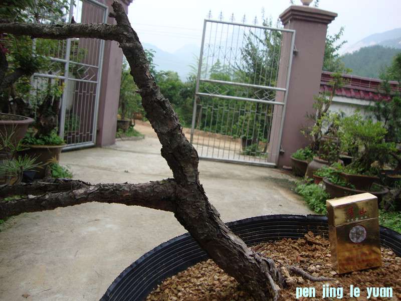 DSC01224_.jpg