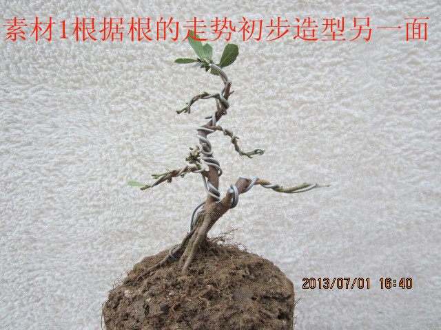 IMG_1834_.jpg