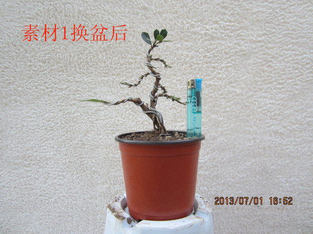 IMG_1839_.jpg