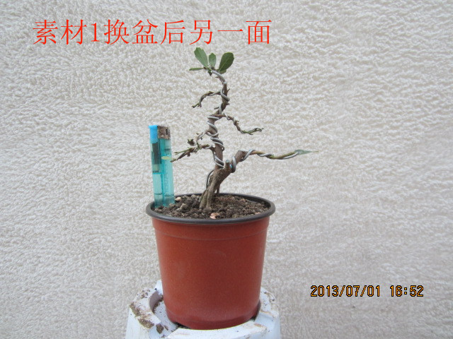 IMG_1840_.jpg