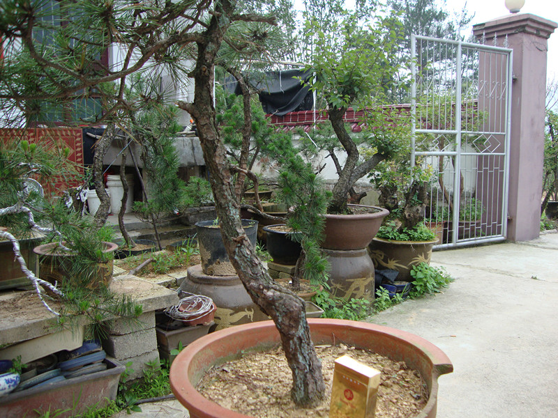 DSC01230_.jpg