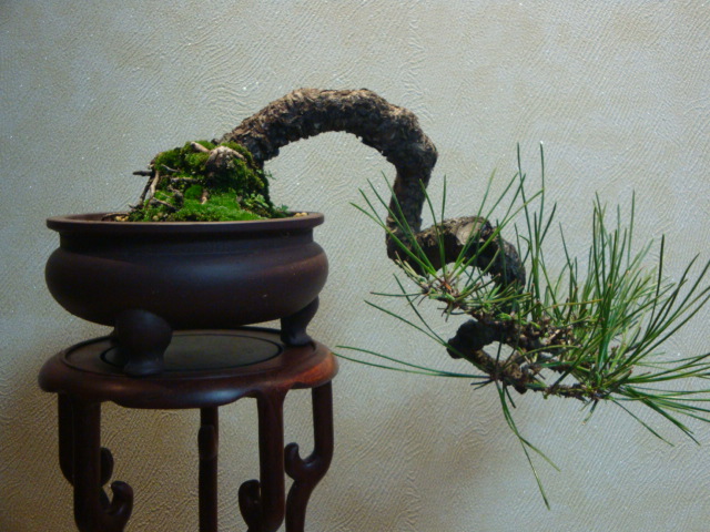 DSC04358.JPG
