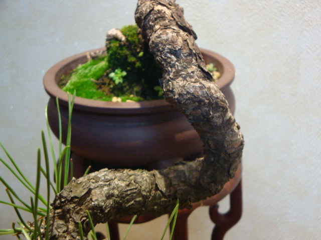 DSC04362.JPG