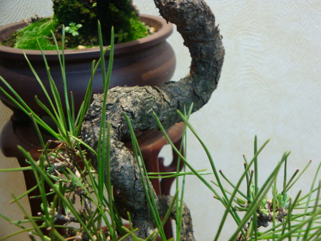 DSC04363.JPG