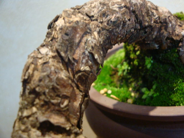 DSC04364.JPG