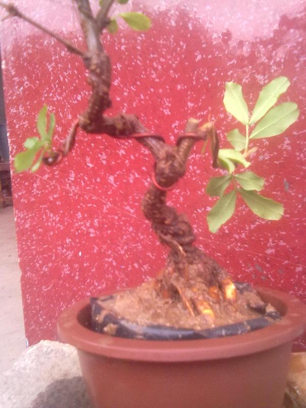 20130704270.JPG