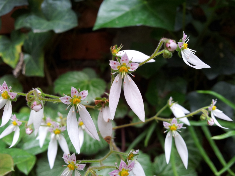 20130506_131602.jpg