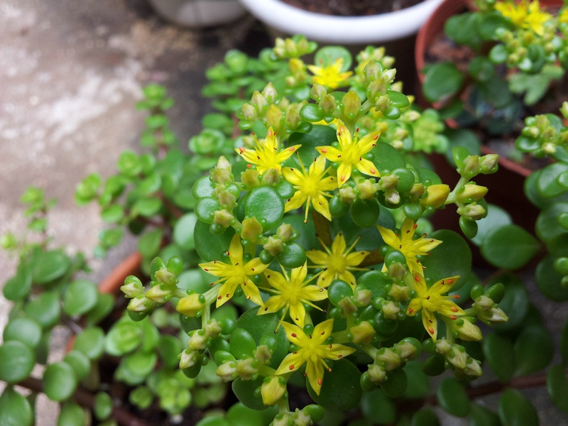 20130506_131636.jpg