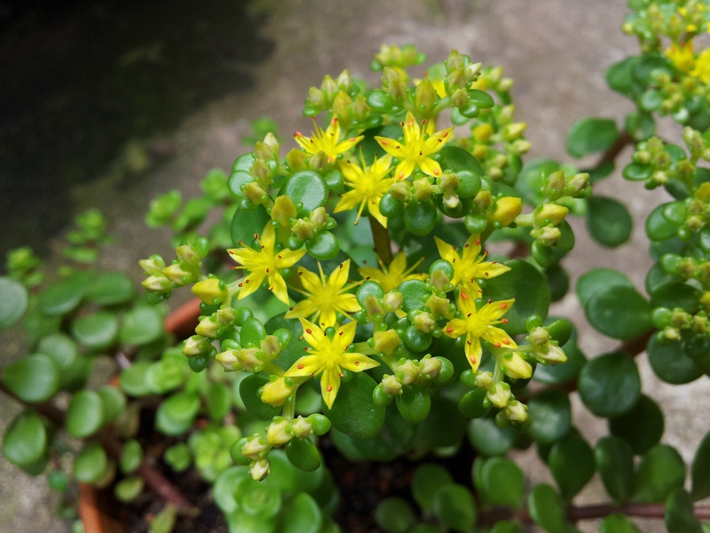 20130506_131723.jpg