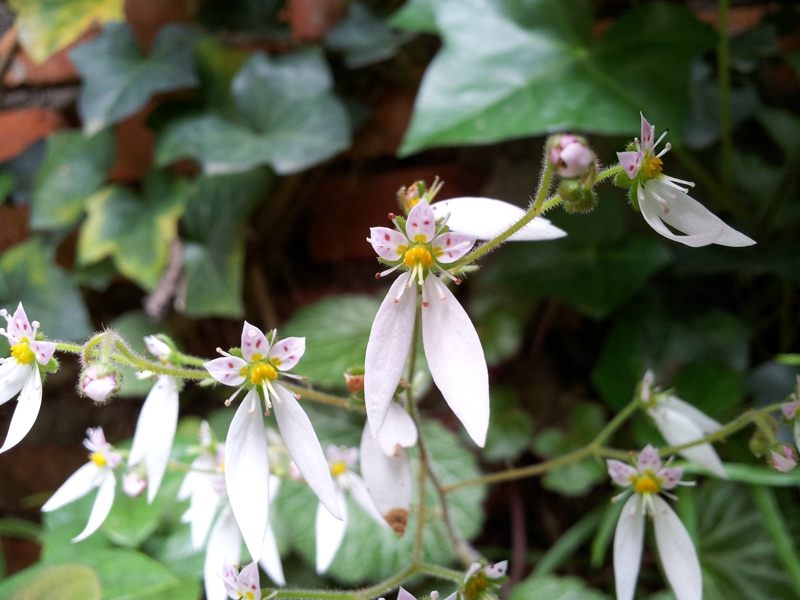 20130506_132022.jpg