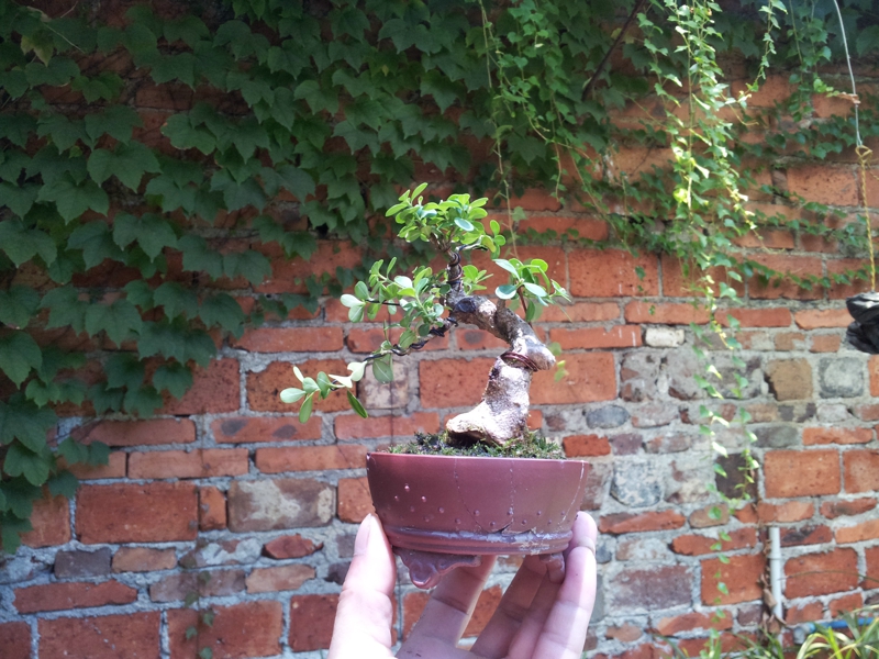 20130630_115713.jpg