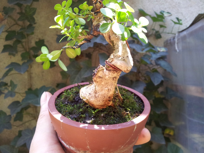 20130630_115824.jpg