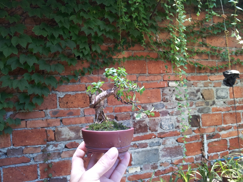 20130630_115726.jpg