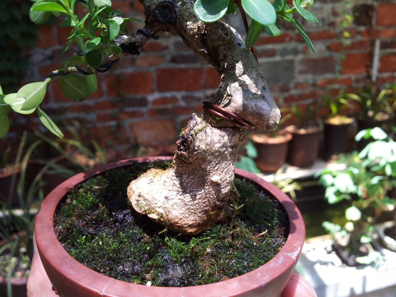20130630_115738.jpg