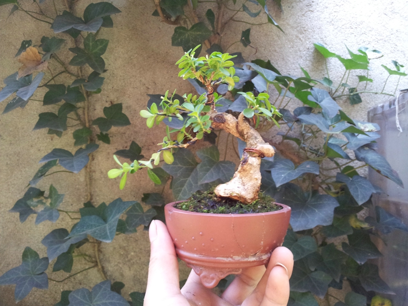 20130630_115811.jpg