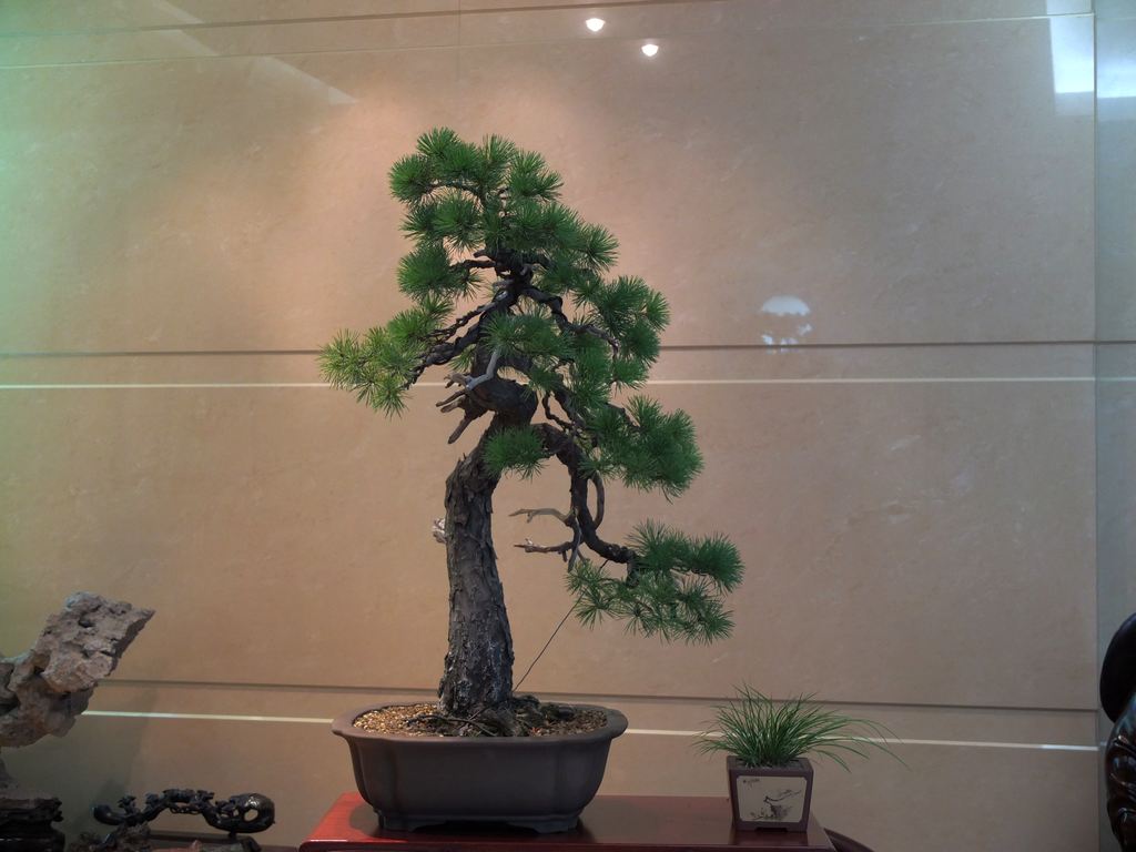 DSCF8470.jpg