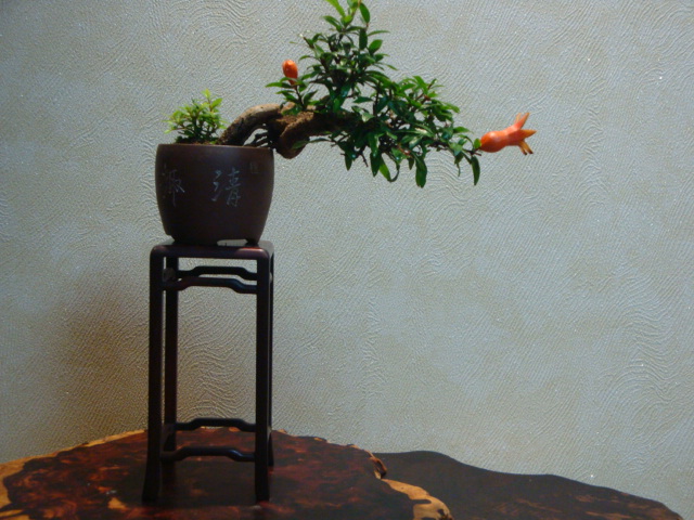 DSC04366.JPG