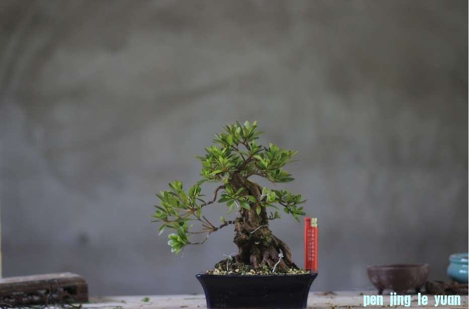 QQͼƬ20130705093926.jpg