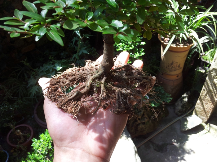 20130625_101120.jpg