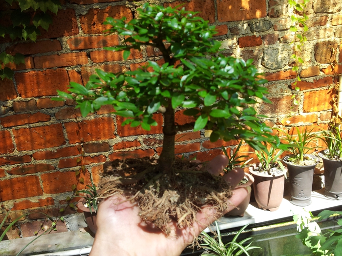 20130625_101139.jpg