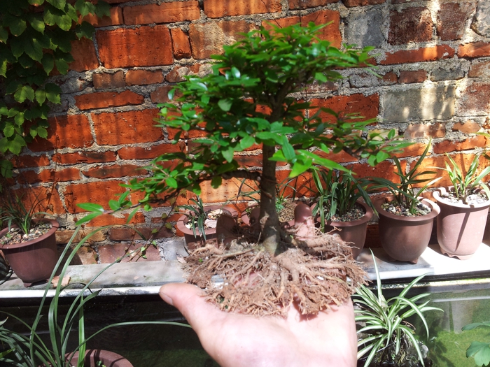 20130625_101152.jpg